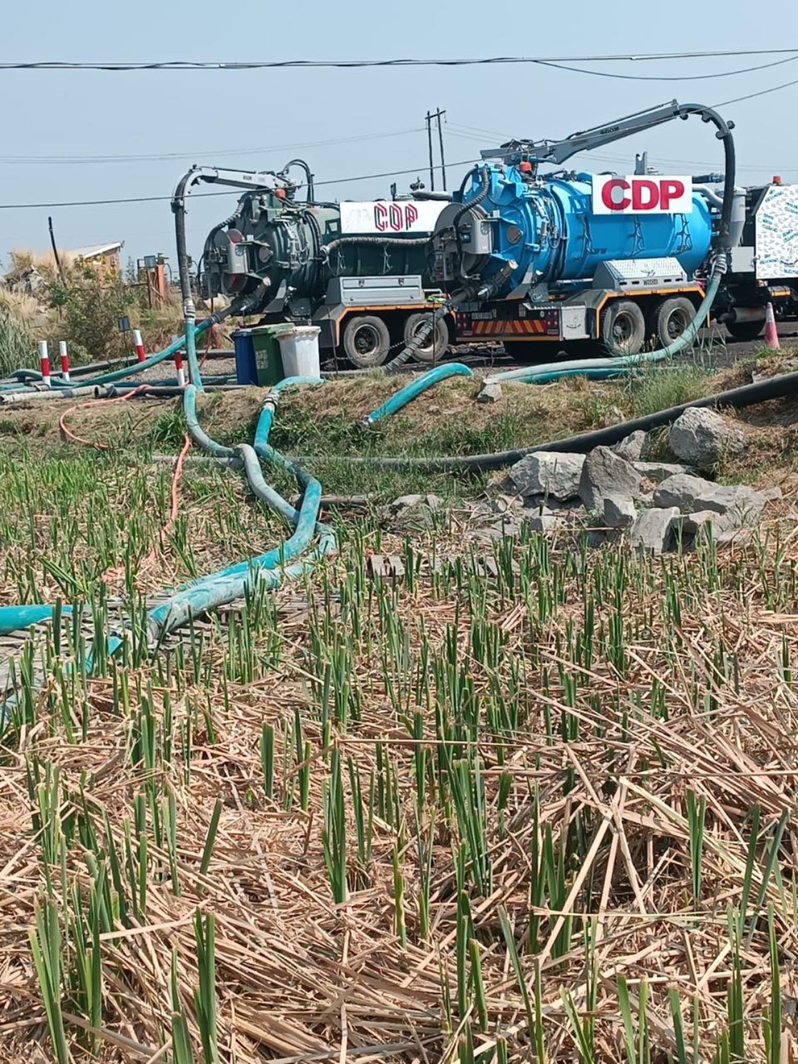 Blue and green vacuum trucks with hoses running across an outdoor site